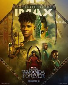 Black Panther Wakanda Forever 2022 1080p V2 HC ENG SUBS Cam X264<span style=color:#fc9c6d> Will1869</span>