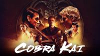 Cobra Kai (S01-S05)(2018-2022)(1080p)(x264)(WebDl)(Multi 5 lang)(MultiSUB) PHDTeam