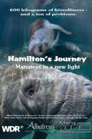 Hamiltons Journey Manatees In A New Light (2014) [1080p] [WEBRip] <span style=color:#fc9c6d>[YTS]</span>