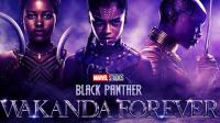 Black Panther Wakanda Forever 2022 720p CAM x264<span style=color:#fc9c6d>-AOC</span>