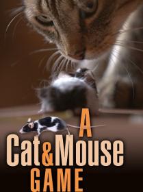 A Cat and Mouse Game (2019) 1080p WEB-DL Rus Eng [sub Eng]-BLUEBIRD