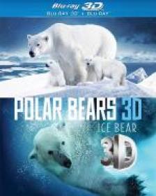 Polar Bears 3D Ice Bear 2013 [miniHD][1080p BluRay x264 HOU AC3-Leon 345][Lektor PL]
