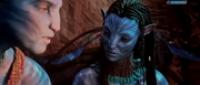 Avatar - The Way of Water (2022) 1080P [Hindi HQ Audio CAM RIP]