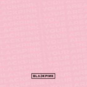 BLACKPINK IN YOUR AREA (320)