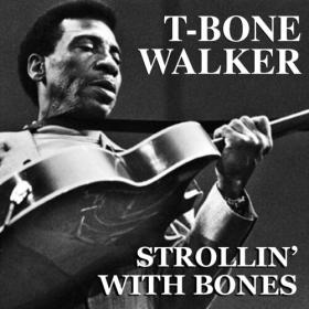 T-Bone Walker - Strollin' With Bones (2022) FLAC [PMEDIA] ⭐️