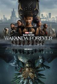 Black Panther Wakanda Forever 2022 V2 1080p HDTS x264 AAC