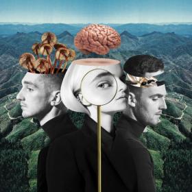 Clean Bandit - What Is Love (2018) Deluxe Album FLAC Quality [PMEDIA]
