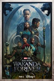 Black Panther Wakanda Forever 2022 1080p BluRay x264 DTS-MT