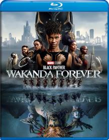 Black Panther Wakanda Forever 2022 1080p 10bit BluRay [Org DDP5.1-Hindi+DDP7 1-English] ESub HEVC-The PunisheR