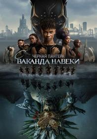 Black Panther Wakanda Forever 2022 DUAL WEBRip x264<span style=color:#fc9c6d> ExKinoRay</span>