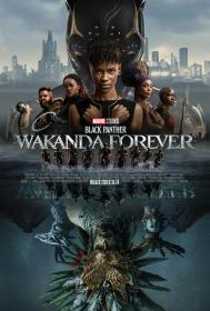 Black Panther Wakanda Forever 2022 1080p 10bit DS4K WEBRip [Org DDP5.1-Hindi+DDP5.1-English] Atmos ESub HEVC-The PunisheR