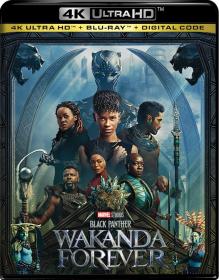 Black Panther Wakanda Forever (2022) IMAX 1080P UHD 10Bit BluRay DV HDR H265 HEVC DDP5.1 [HINDI + ENG] ESUB ~ [SHB931]