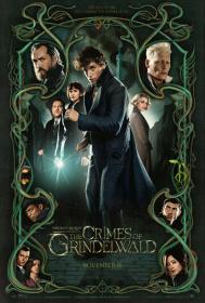 Fantastic Beasts The Crimes Of Grindelwald (2018) 3D HSBS 1080p BluRay H264 DolbyD 5.1 + nickarad