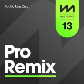 Various Artists - Mastermix Pro Remix 13 (2023) Mp3 320kbps [PMEDIA] ⭐️