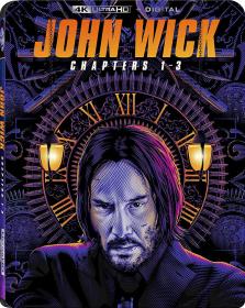 John Wick Trilogy 2014-2019 1080p 10bit DS4K BluRay [Org DDP2.0&5 1-Hindi+DDP7 1-English] ESub HEVC-The PunisheR