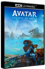 Avatar The Way of Water 2022 AMZN 4K WEBRip 2160p DoVi HDR10+  DD+ 7 1 + 5 1 Atmos x265-MgB