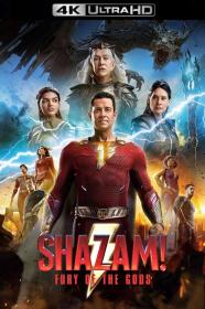 Shazam! Fury of the Gods (2023) 1080p HDRip  [Dual Audio] [Hindi or English] x264 ESubs [2.6GB] <span style=color:#fc9c6d>- QRips</span>