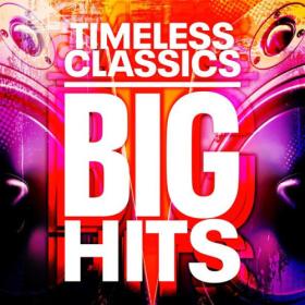 Various Artists - Timeless Classics - Big Hits (2023) Mp3 320kbps [PMEDIA] ⭐️
