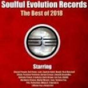 Various Artists - Soulful Evolution Records The Best of 2018(2018)