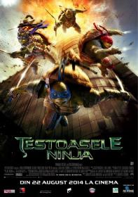 Teenage Mutant Ninja Turtles (2014) 3D HSBS 1080p BluRay H264 DolbyD 5.1 + nickarad