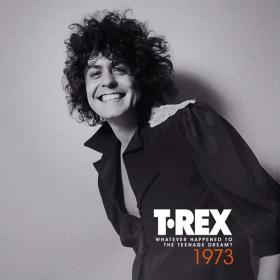 T  Rex - Whatever Happened to the Teenage Dream (1973) (2023) [24Bit-44.1kHz] FLAC [PMEDIA] ⭐️