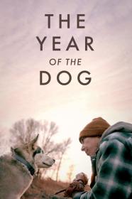 The Year Of The Dog 2022 1080p WEBRip x265-LAMA[TGx]