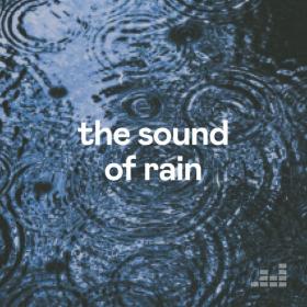 Various Artists - The Sound of Rain (2023) Mp3 320kbps [PMEDIA] ⭐️