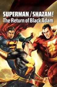 Superman Shazam The Return Of Black Adam (2010) 1080p BluRay 5 1-LAMA[TGx]