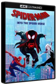 Spider-Man Into the Spider-Verse 2018 UHD 4K BluRay 2160p HDR10 TrueHD 7.1 Atmos H 265-MgB