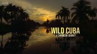 BBC Natural World 2020 Wild Cuba A Caribbean Journey 1080p x265 AAC