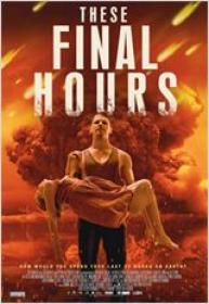 These Final Hours 2013 FRENCH BDRip x264<span style=color:#fc9c6d>-PRiDEHD</span>