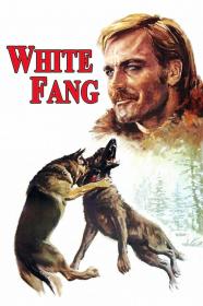 White Fang (1973) [720p] [WEBRip] <span style=color:#fc9c6d>[YTS]</span>