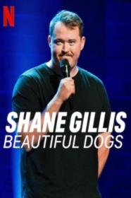 Shane Gillis Beautiful Dogs 2023 1080p WEB h264<span style=color:#fc9c6d>-EDITH[TGx]</span>