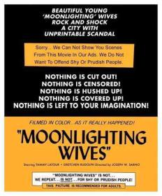 Moonlighting Wives [1966 - USA] prostitution drama
