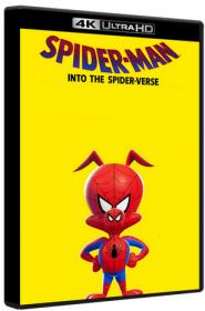 Spider-Man Into the Spider-Verse 2018 UHD HYBRID 4K BluRay 2160p HDR10+ TrueHD 7.1 Atmos H 265-MgB