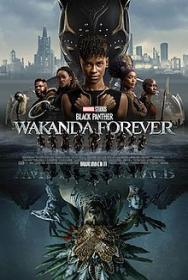 Black Panther Wakanda Forever 2022 IMAX 1080p WEBRip x265<span style=color:#fc9c6d>-RBG</span>