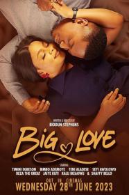 Big Love (2023) [720p] [WEBRip] <span style=color:#fc9c6d>[YTS]</span>