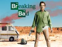 Breaking Bad (S02)(2009)(1080p)(VP9)(WebDL)( EN 5 1+SPA 2 0)(Complete) PHDTeam