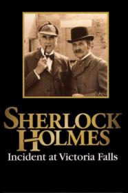 Sherlock Holmes Incident At Victoria Falls (1992) [720p] [WEBRip] <span style=color:#fc9c6d>[YTS]</span>