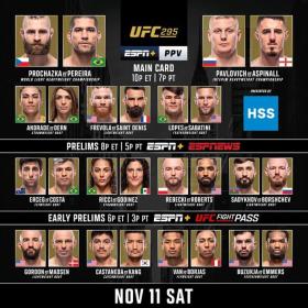 UFC 295 Prochazka vs Pereira 1080p HDTV H264 manhy[TGx]