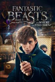 Fantastic Beasts and Where to Find Them 2016 2160p MAX WEB-DL DDPA 5 1 DV HDR H 265-PiRaTeS[TGx]