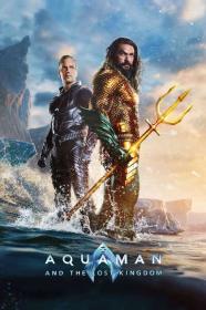 Aquaman and the Lost Kingdom 2023 HDCAM c1nem4 x264<span style=color:#fc9c6d>-SUNSCREEN[TGx]</span>