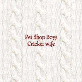 Pet Shop Boys - Cricket wife (2024) [24Bit-44.1kHz] FLAC [PMEDIA] ⭐️