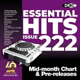 Various Artists - DMC Essential Hits 222 (2024) Mp3 320kbps [PMEDIA] ⭐️