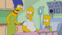 The Simpsons S30 1080p WEBRip x265-KONTRAST