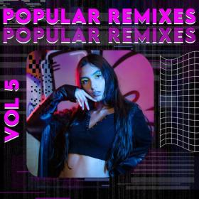 V A  - Popular Remixes Vol 5 (2024 Elettronica) [Flac 16-44]