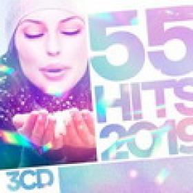 VA-55 Hits 2019-3CD