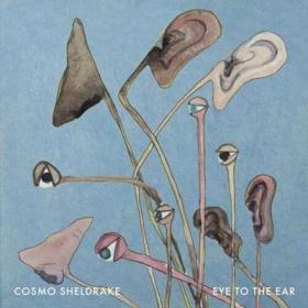 Cosmo Sheldrake - Eye To The Ear (2024) [24Bit-96kHz] FLAC