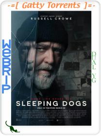 Sleeping Dogs 2024 1080p WEBRip x264 Dual YG