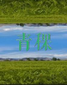 【高清剧集网发布 】青稞[全3集][国语配音+中文字幕] Qing Ke S01 2021 1080p WEB-DL H264 AAC-LelveTV